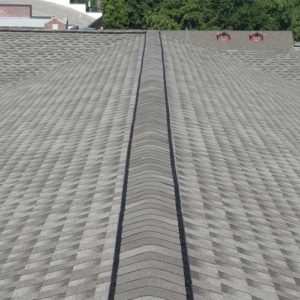 Shingle Roof Ridge Vent