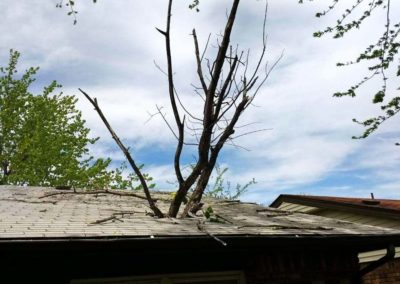 Tree Limb Fell Through Roof
