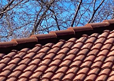 Concrete Tile Roof