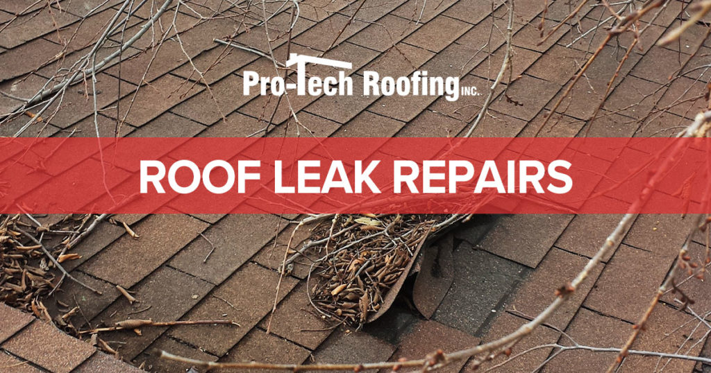 Fix a Leaking Roof