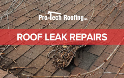 How to Fix a Leaking Roof (6 Simple Repairs & When to Call a Pro)