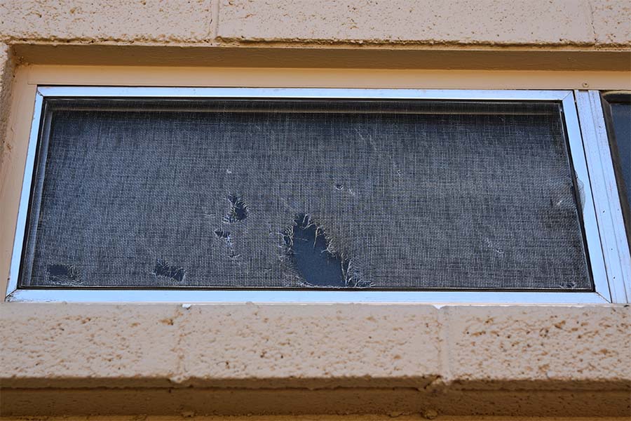 Hail Damage to Window Screens