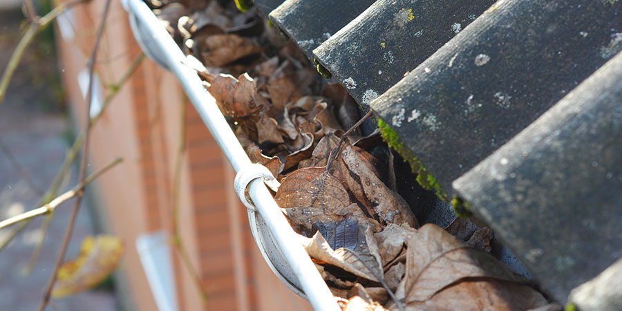 clogged gutters