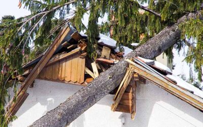 Common Causes of Roof Damage (And What to do if Your Roof Gets Hit)