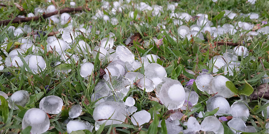 hail stones on the ground