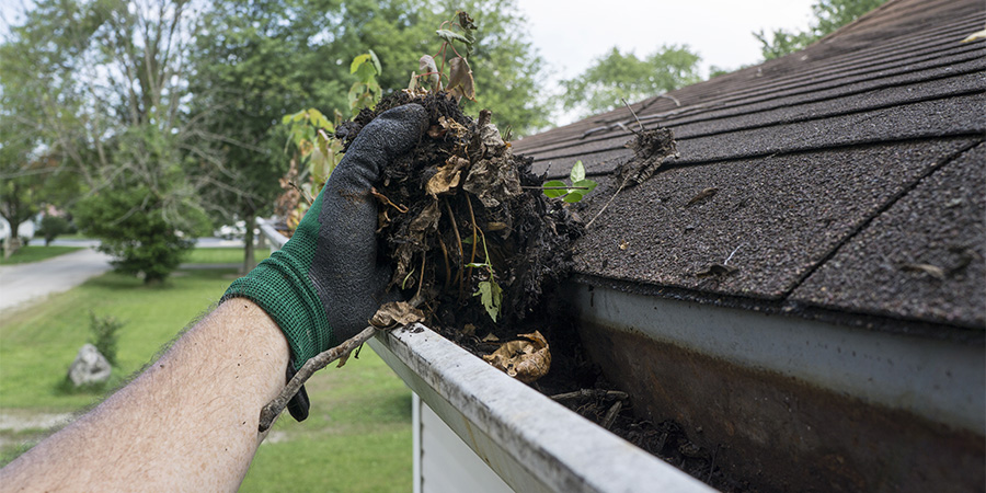 roof gutter cleaning