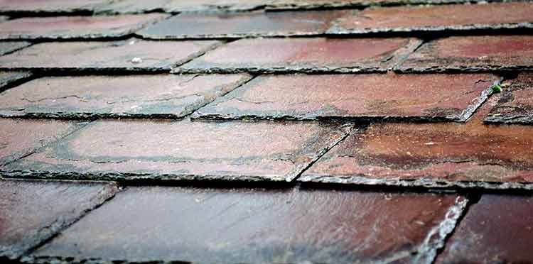 Wet Slate Roof Shingles