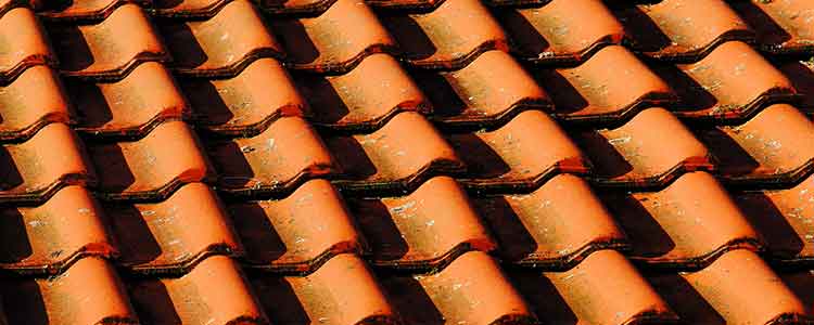 Terracotta Roof Tiles