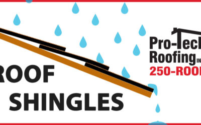 17 Types of Roof Shingles (The Complete Guide)
