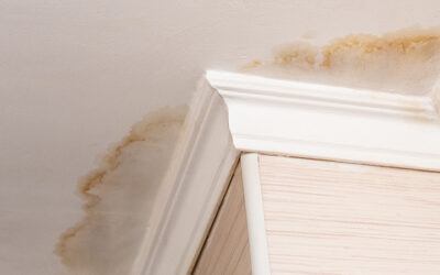 7 Steps to Stop Roof Leaks After Storms